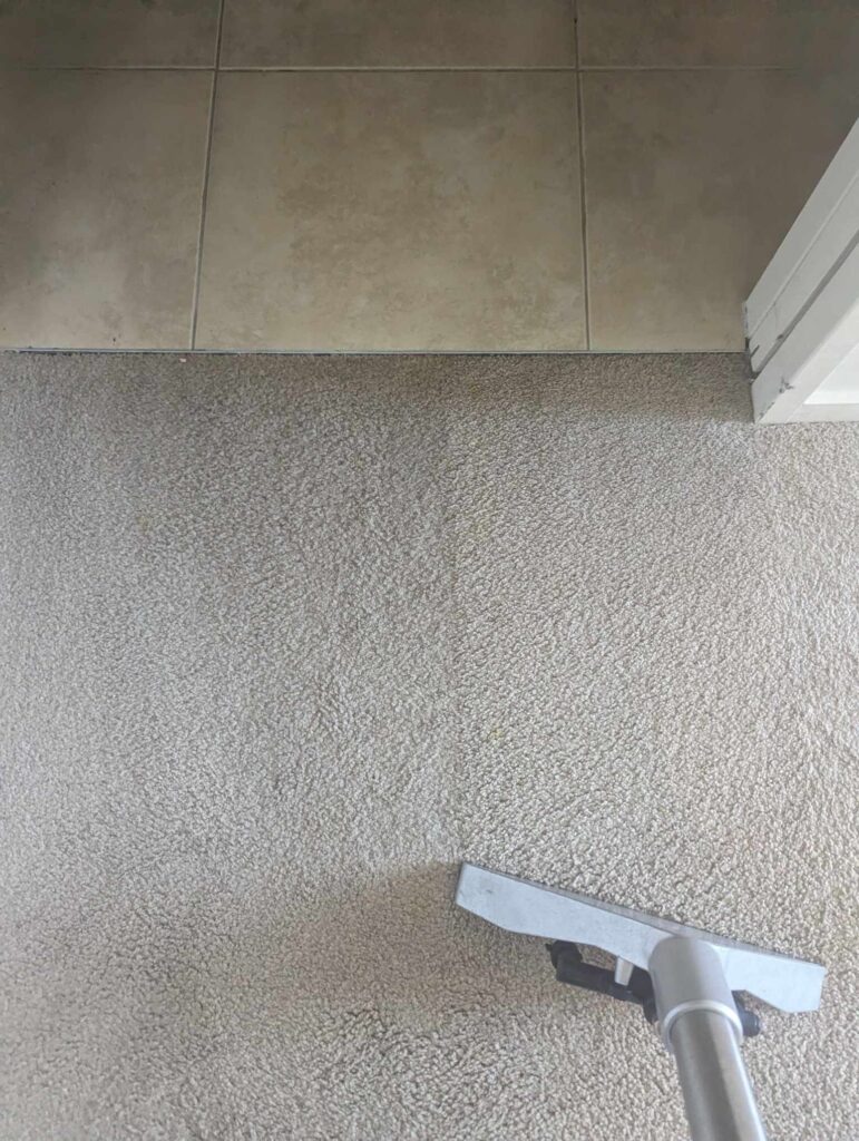 Carpet mid clean